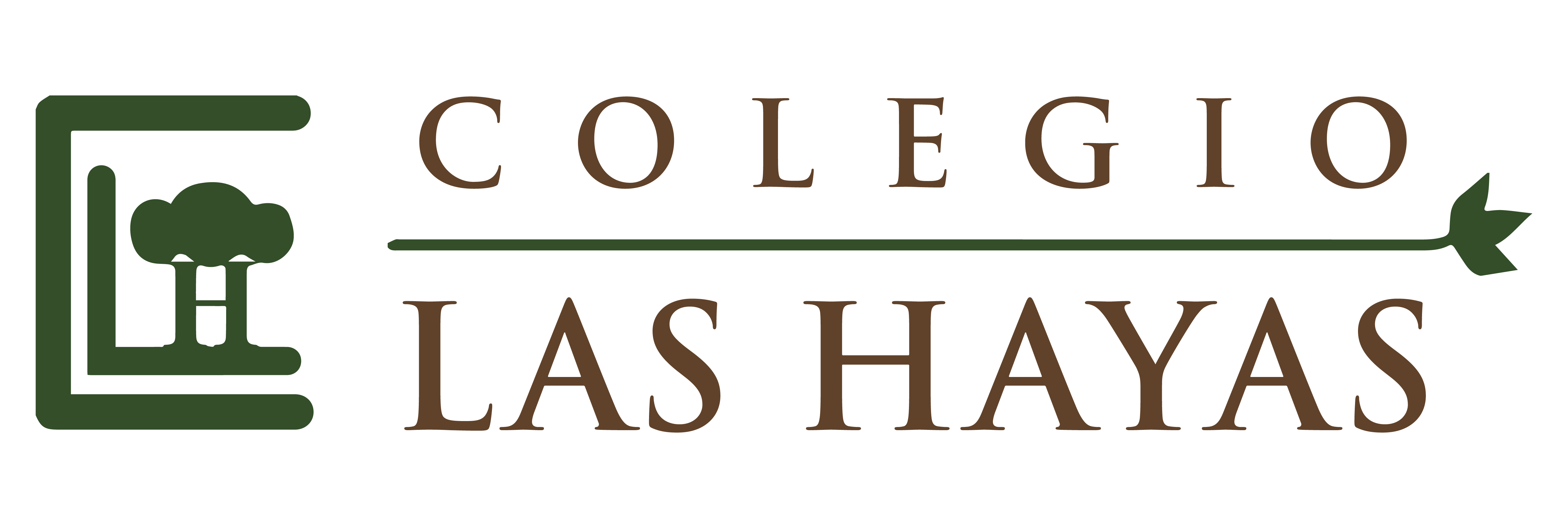 Hayas
